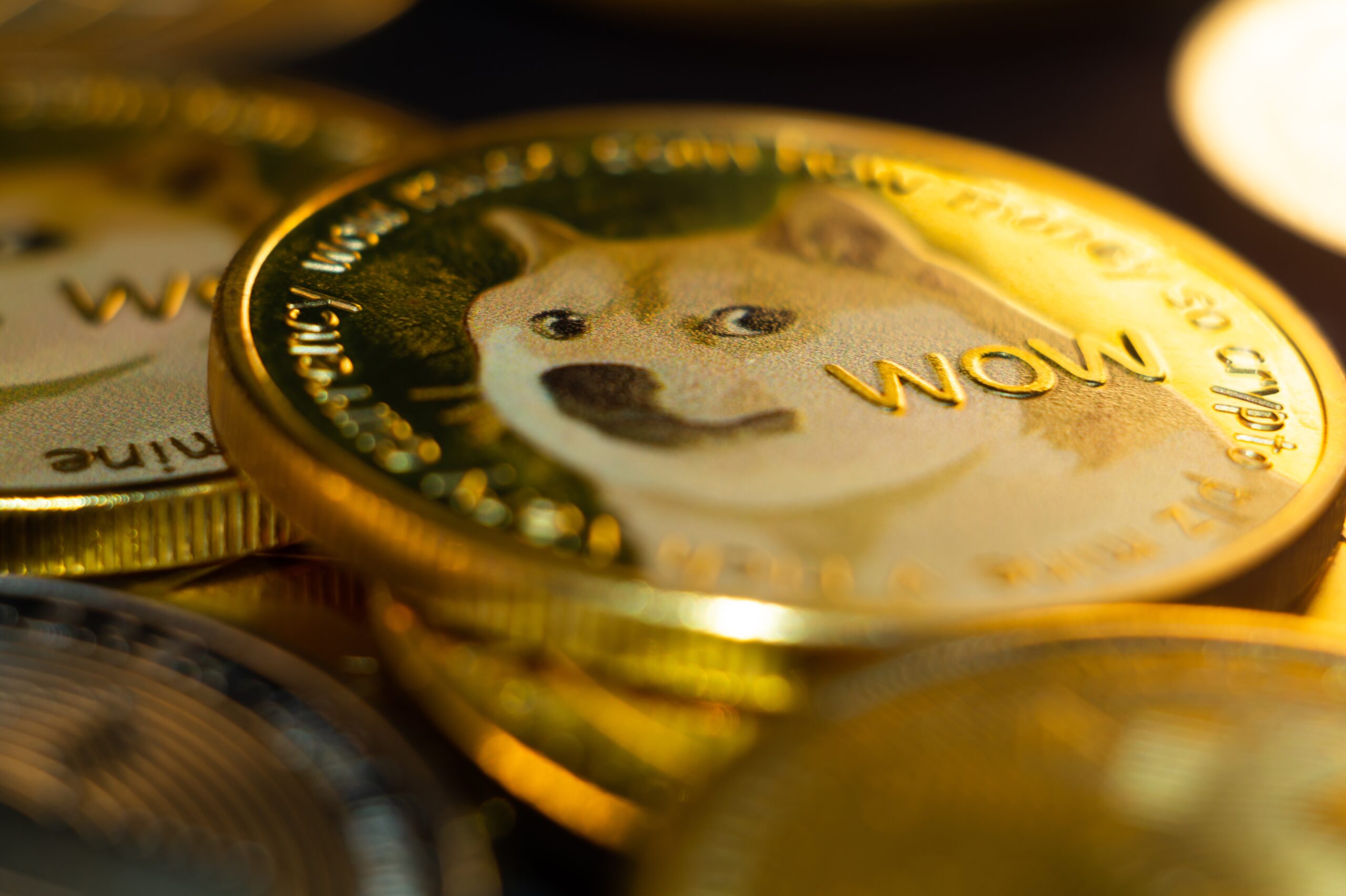 dogcoin